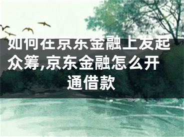 如何在京东金融上发起众筹,京东金融怎么开通借款