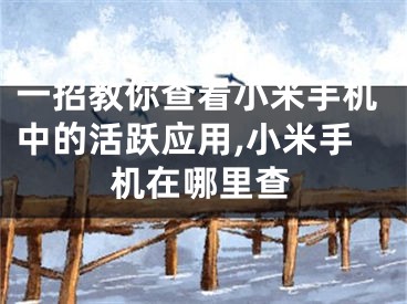 一招教你查看小米手机中的活跃应用,小米手机在哪里查
