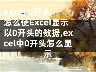 excel 0开头 怎么使Excel显示以0开头的数据,excel中0开头怎么显示