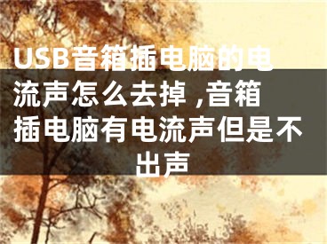 USB音箱插电脑的电流声怎么去掉 ,音箱插电脑有电流声但是不出声