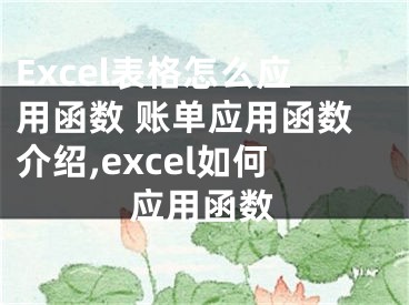 Excel表格怎么应用函数 账单应用函数介绍,excel如何应用函数