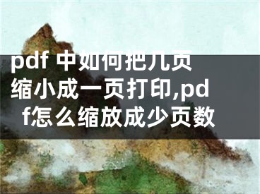 pdf 中如何把几页缩小成一页打印,pdf怎么缩放成少页数