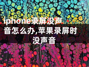 iphone录屏没声音怎么办,苹果录屏时没声音