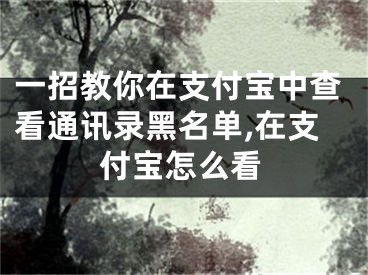 一招教你在支付宝中查看通讯录黑名单,在支付宝怎么看