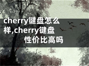 cherry键盘怎么样,cherry键盘性价比高吗