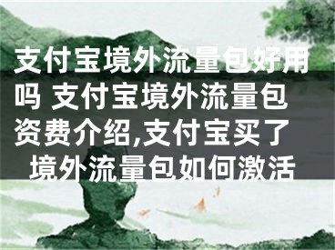 支付宝境外流量包好用吗 支付宝境外流量包资费介绍,支付宝买了境外流量包如何激活