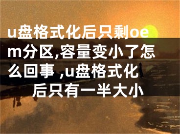 u盘格式化后只剩oem分区,容量变小了怎么回事 ,u盘格式化后只有一半大小