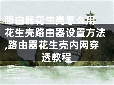 路由器花生壳怎么用 花生壳路由器设置方法,路由器花生壳内网穿透教程