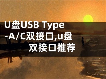 U盘USB Type-A/C双接口,u盘双接口推荐