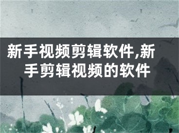 新手视频剪辑软件,新手剪辑视频的软件