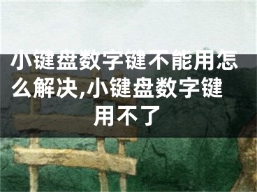 小键盘数字键不能用怎么解决,小键盘数字键用不了