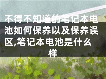 不得不知道的笔记本电池如何保养以及保养误区,笔记本电池是什么样