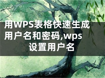用WPS表格快速生成用户名和密码,wps设置用户名