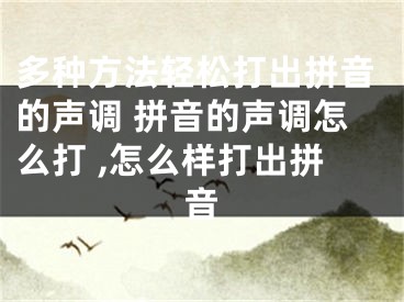 多种方法轻松打出拼音的声调 拼音的声调怎么打 ,怎么样打出拼音