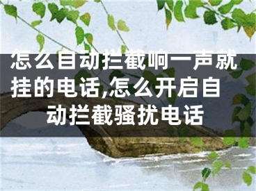怎么自动拦截响一声就挂的电话,怎么开启自动拦截骚扰电话