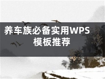 养车族必备实用WPS模板推荐