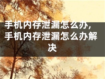 手机内存泄漏怎么办,手机内存泄漏怎么办解决