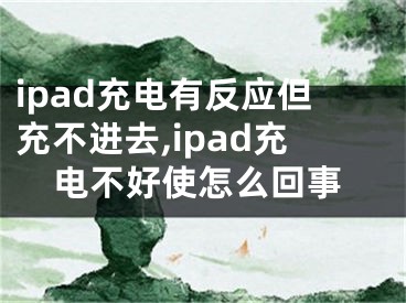ipad充电有反应但充不进去,ipad充电不好使怎么回事