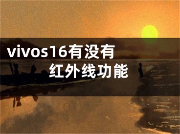 vivos16有没有红外线功能 