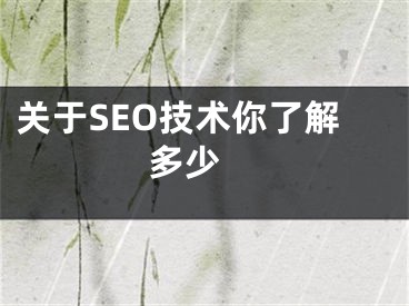 关于SEO技术你了解多少  