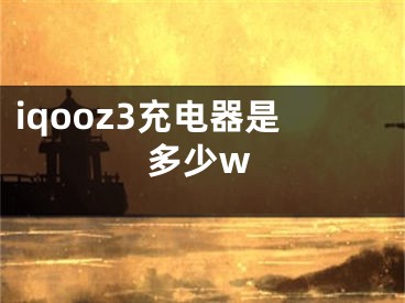 iqooz3充电器是多少w