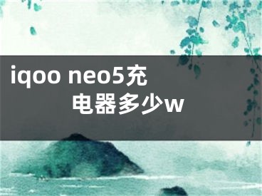 iqoo neo5充电器多少w