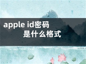 apple id密码是什么格式 