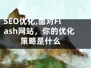 SEO优化,面对Flash网站，你的优化策略是什么 