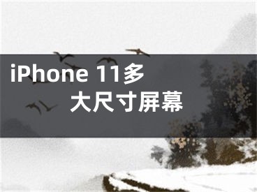iPhone 11多大尺寸屏幕