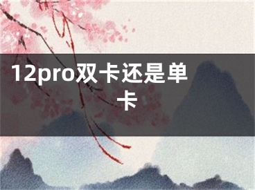 12pro双卡还是单卡