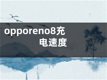 opporeno8充电速度