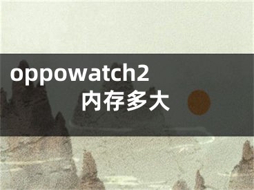 oppowatch2内存多大