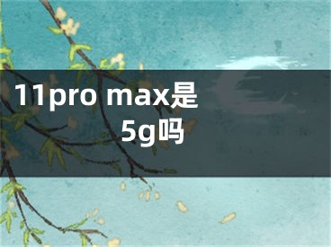 11pro max是5g吗