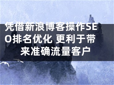 凭借新浪博客操作SEO排名优化 更利于带来准确流量客户