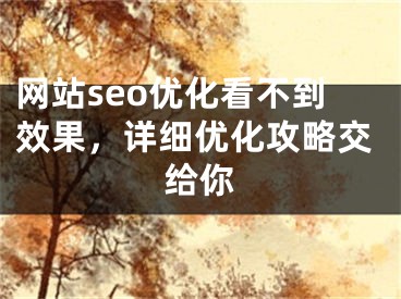 网站seo优化看不到效果，详细优化攻略交给你