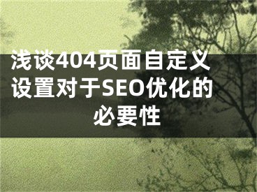 浅谈404页面自定义设置对于SEO优化的必要性