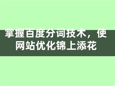 掌握百度分词技术，使网站优化锦上添花 