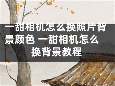 一甜相机怎么换照片背景颜色 一甜相机怎么换背景教程