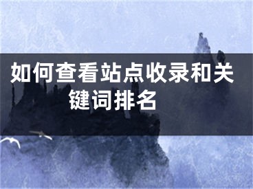如何查看站点收录和关键词排名 