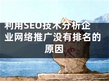 利用SEO技术分析企业网络推广没有排名的原因