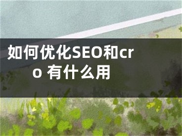 如何优化SEO和cro 有什么用 