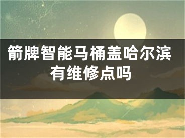 箭牌智能马桶盖哈尔滨有维修点吗