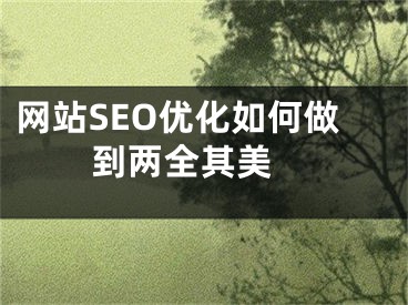 网站SEO优化如何做到两全其美 