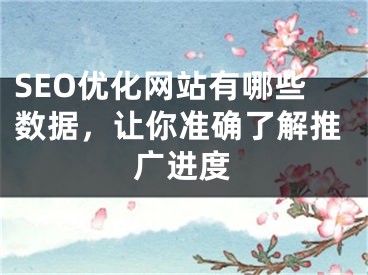 SEO优化网站有哪些数据，让你准确了解推广进度