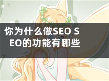 你为什么做SEO SEO的功能有哪些 