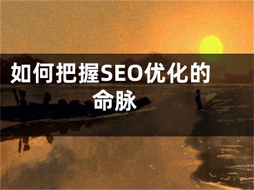如何把握SEO优化的命脉 
