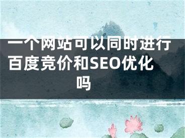 一个网站可以同时进行百度竞价和SEO优化吗 