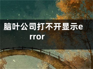 脑叶公司打不开显示error