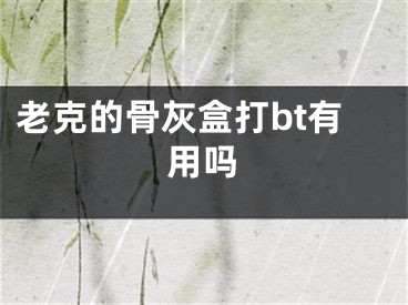 老克的骨灰盒打bt有用吗