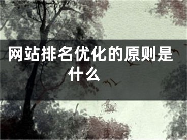 网站排名优化的原则是什么 